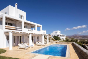Naxian Collection